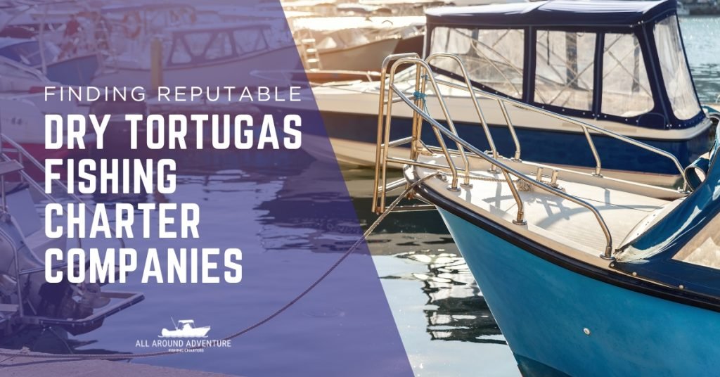 Multiple boats at a marina showing options for trustworthy fishing charter companies.