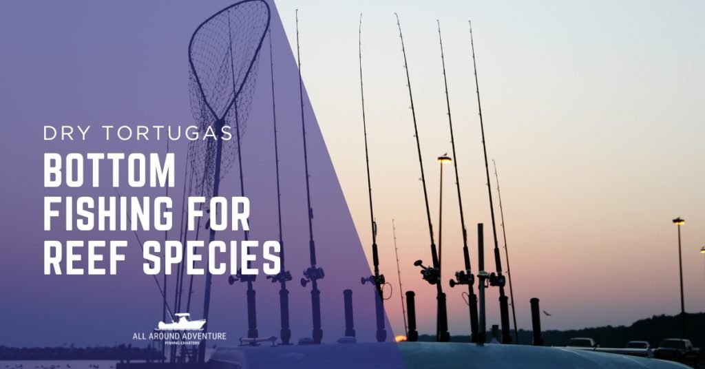 Sunset over fishing rods on a boat ready for bottom fishing for reef species in the Dry Tortugas.