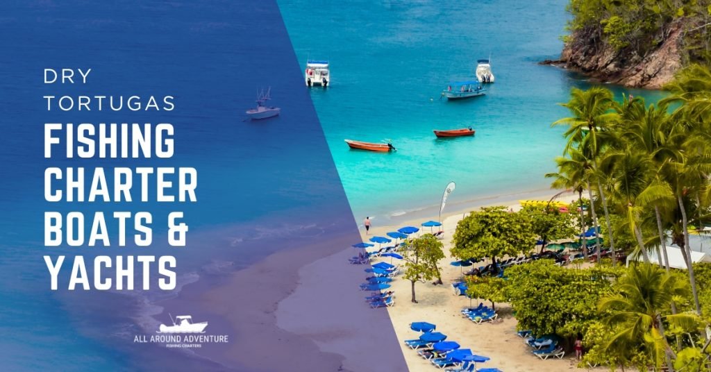 Boats and yachts anchored by a beach, used for fishing charters in Dry Tortugas.